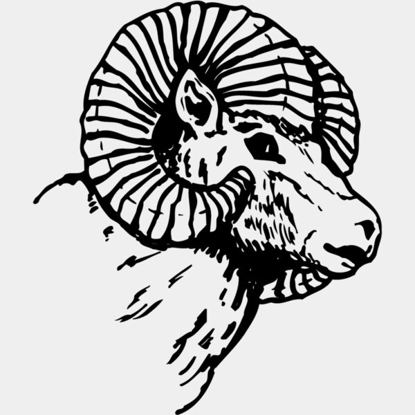 RAM005 Thumbnail